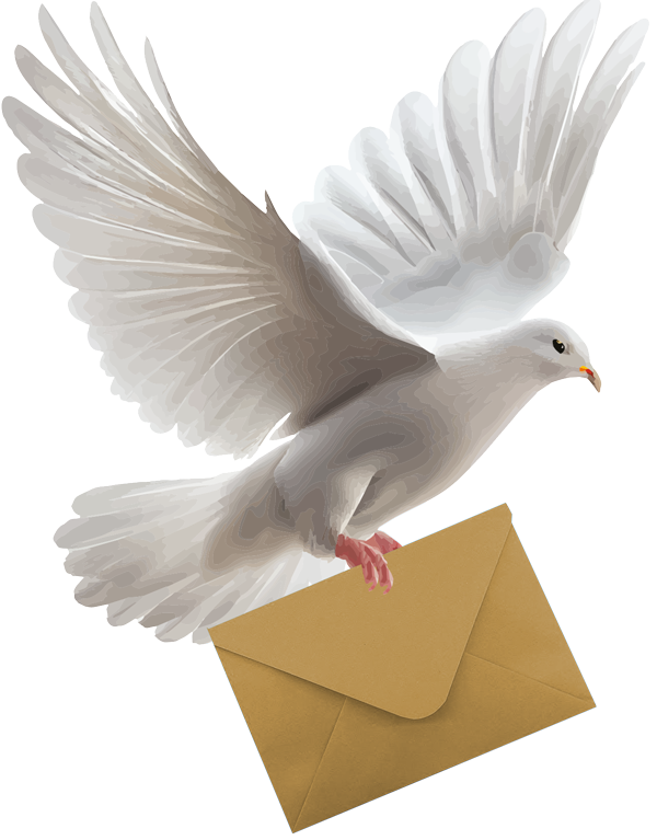 WEALTH-INCUBATOR-EMAIL-PIGEON